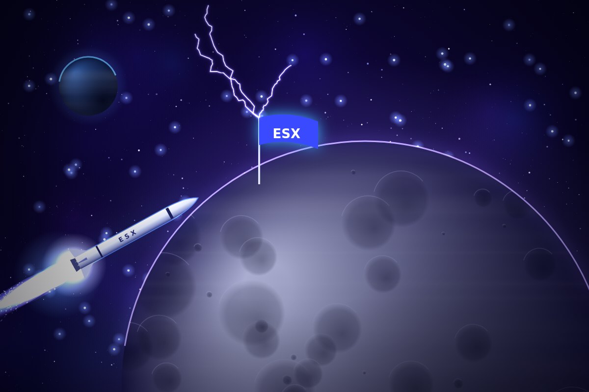 ESX flag planted on the Moon
